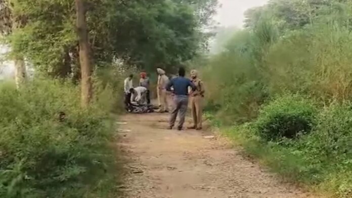 Sikander Maluka : 'ਤੇਰੀ ਤਾਂ ਇੱਕ ਦੁਆਨੀ ਵੀ ਹੈਨੀ, ਕਿਉਂ ਝੂਠ ਬੋਲੀ ਜਾਂਦੈਂ' 