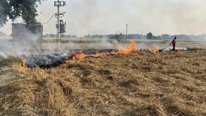 ਅਗਨੀਵੀਰਾਂ ਲਈ ਡਬਲ ਖੁਸ਼ਖਬਰੀ, ਨੌਕਰੀਆਂ 'ਚ 20% ਰਾਖਵਾਂਕਰਨ ਦੇ ਨਾਲ ਲਿਖਤੀ ਪ੍ਰੀਖਿਆ ਤੋ